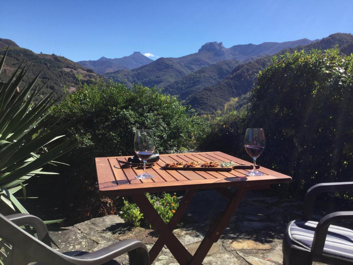 Olmares Terrace Apartment - Picos De Europa Lomeña Екстериор снимка