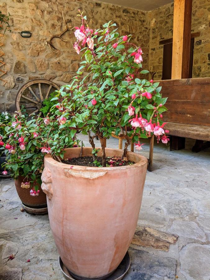 Olmares Terrace Apartment - Picos De Europa Lomeña Екстериор снимка